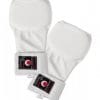 karate-gloves-tokaido-jka-white