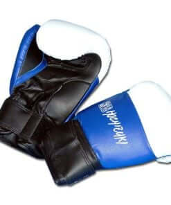 Yoseikan Budo Gloves - Noris-320620 mitaines