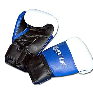 Yoseikan Budo protections