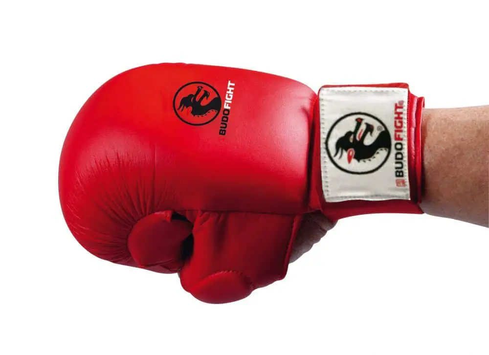 gloves-karate-blue-with-thumb-budo-fight-homologues-ffk-tsuki