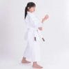 Karate-gi-Tokyodo-KA-9-light