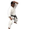 kimono-de-karate-kaiten-regular-revolution-sovereign