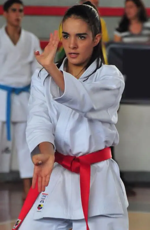 kimono-karate-gi-1st-kata-kamikaze-awaze-teisho-zuki