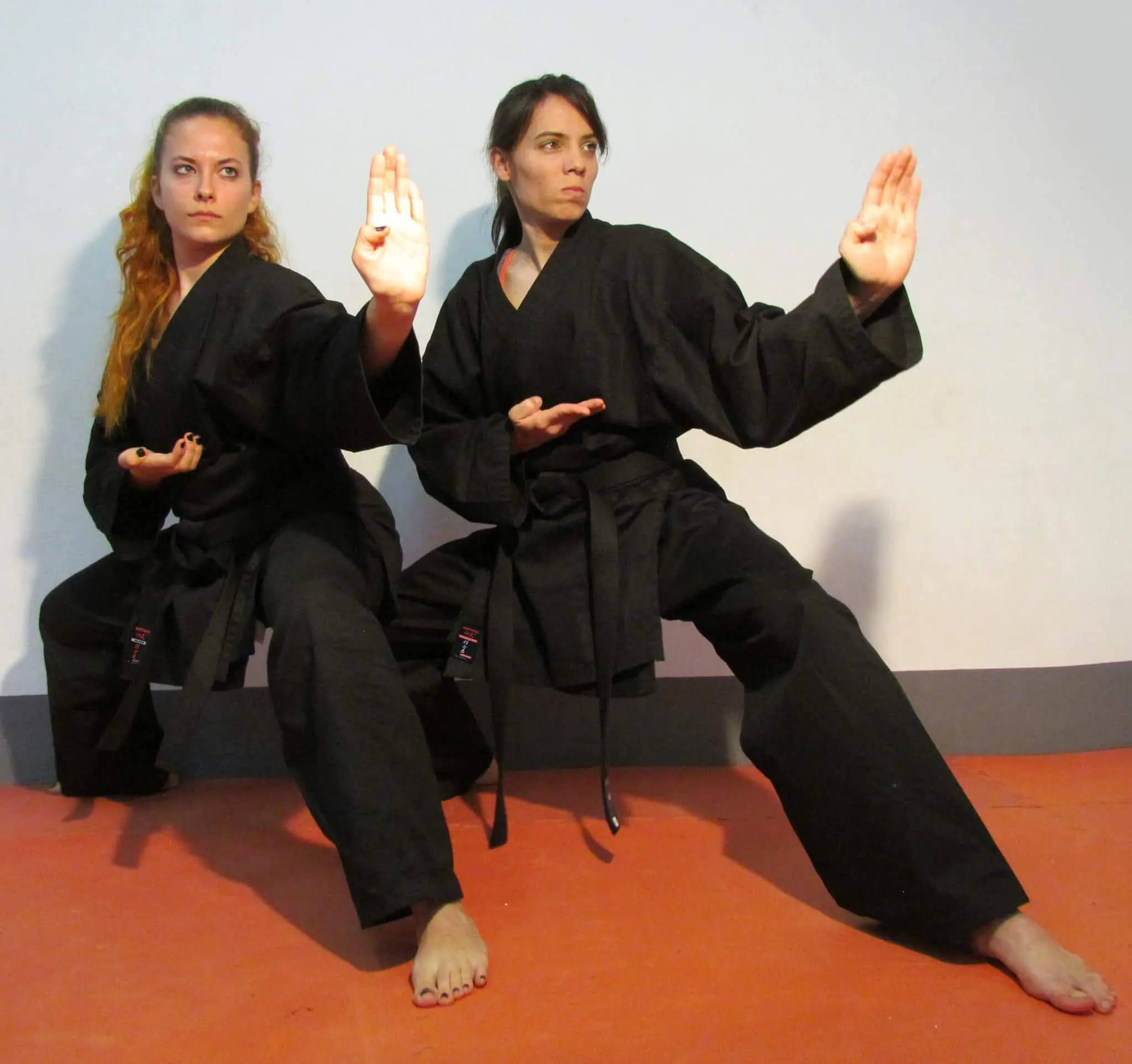 kimono-karate-gi-kamikaze-basic-black-black-kobudo-kokustu-dachi-tutate-shuto-uke-jodan