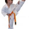 kimono karate gi kamikaze economique enfant mawashigeri jodan scaled