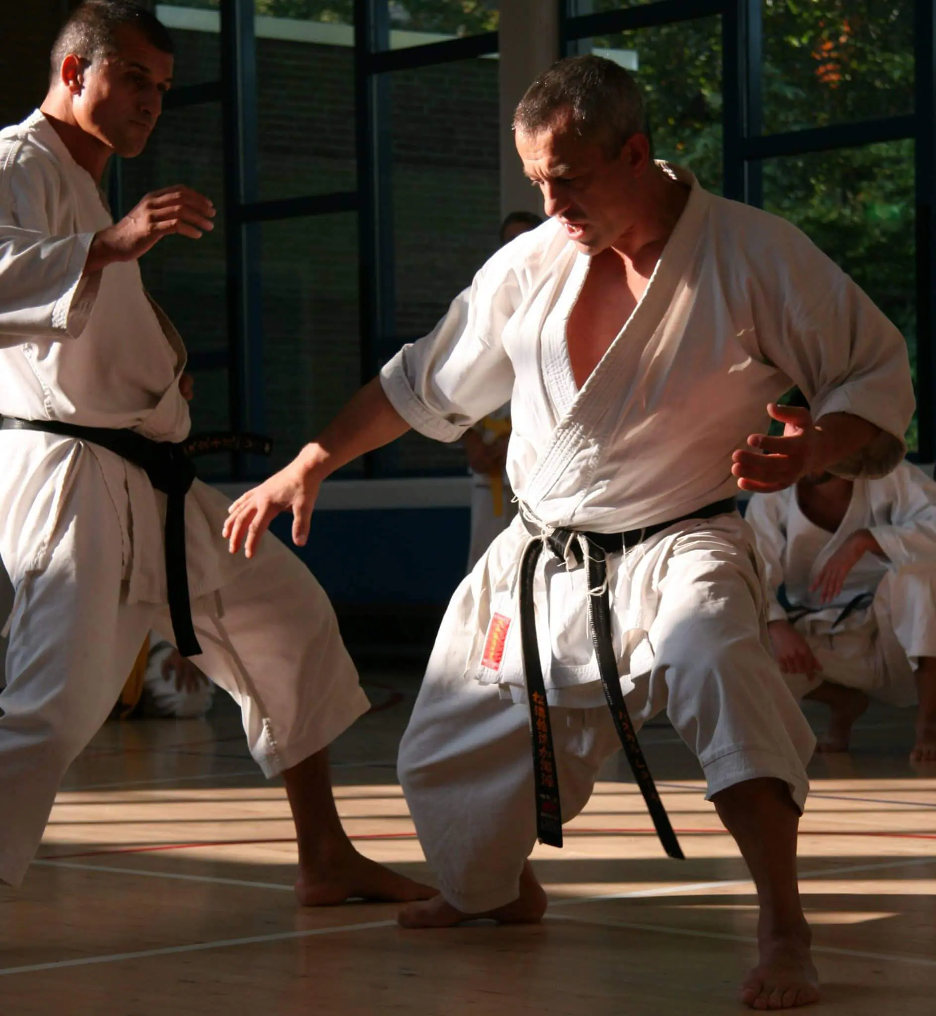 kimono-karate-gi-kamikaze-europa-esquive