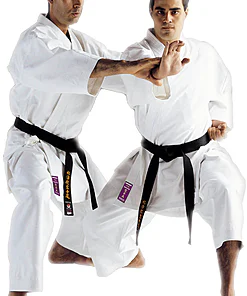 kimono-karate-gi-kamikaze-monarch-fudo-dachi-tate-shuto