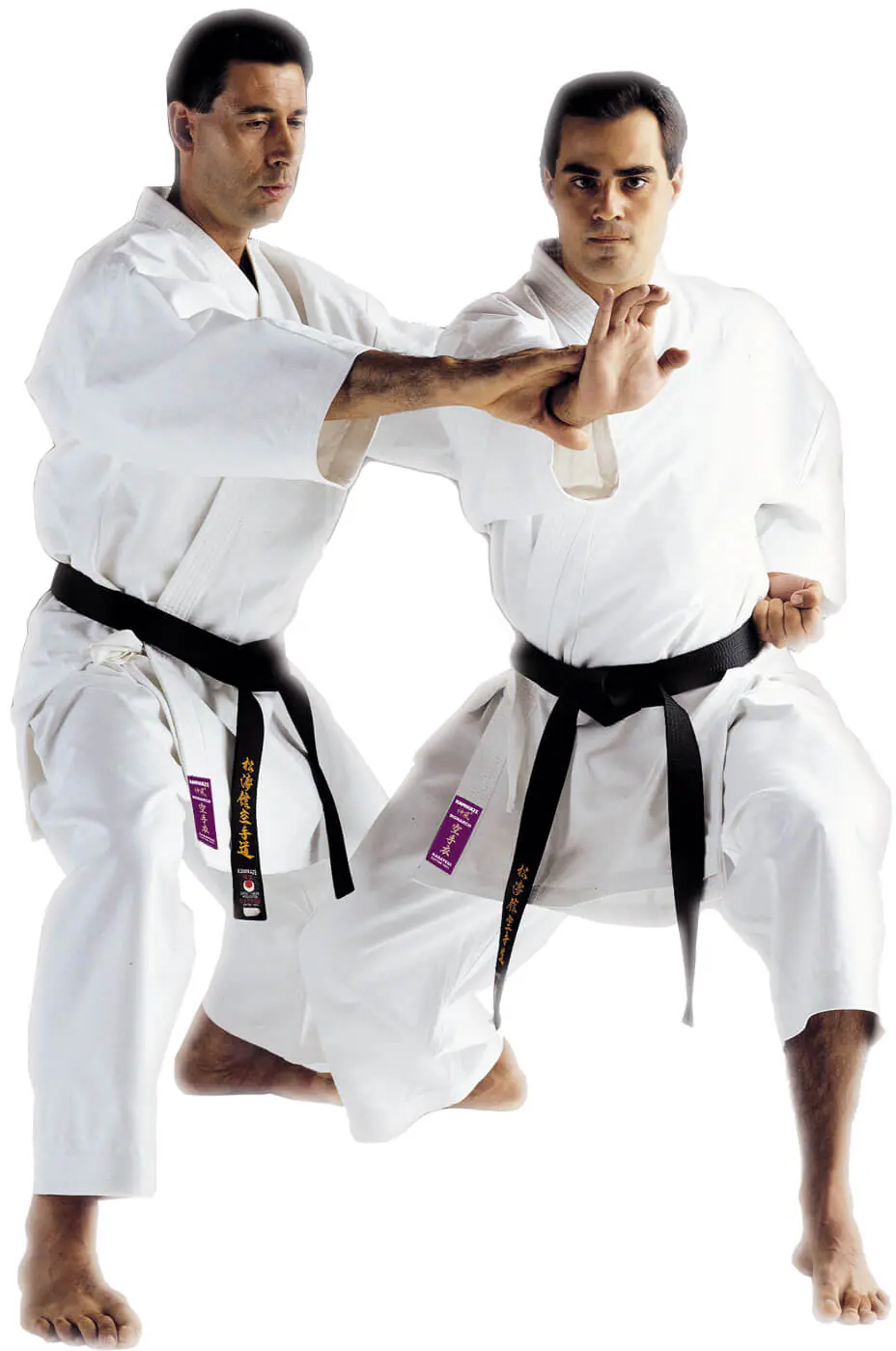 kimono-karate-gi-kamikaze-monarch-fudo-dachi-tate-shuto