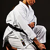 kimono-karate-gi-shureido-new-wave-3-wkf-approved-tsuki-gedan
