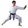 kimono-karate-kaiten-revolution-sovereign-slim