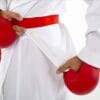 kimono-karategi-k-one-kumite-wkf-kamikaze-tissus-nid-beeille