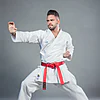 kimono-karategi-ko-italia-elegant-kata-wkf-tate-shuto