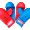mitten-gauntlet-protection-karate-with-thumb-red-blue-kamikaze