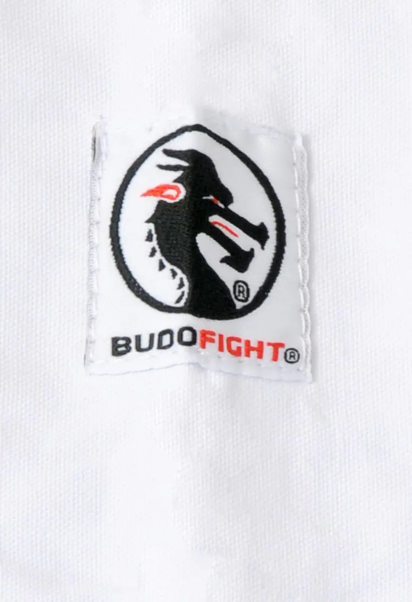 okinawa-budo-fight