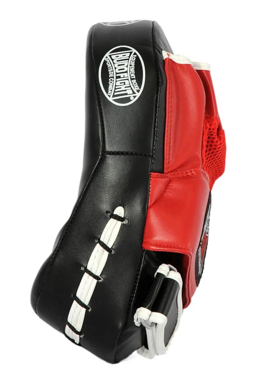 paws-curves-cosmic-budo-fight.