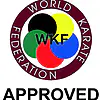 foot-protectors-karate-hayashi-blue-or-red-wkf