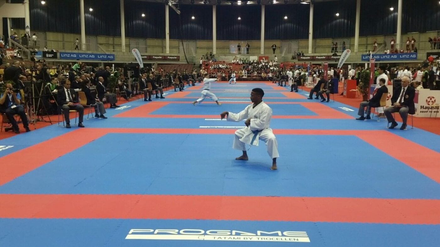 Karate-gi