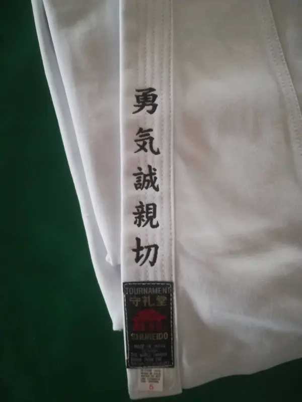 Karate-gi